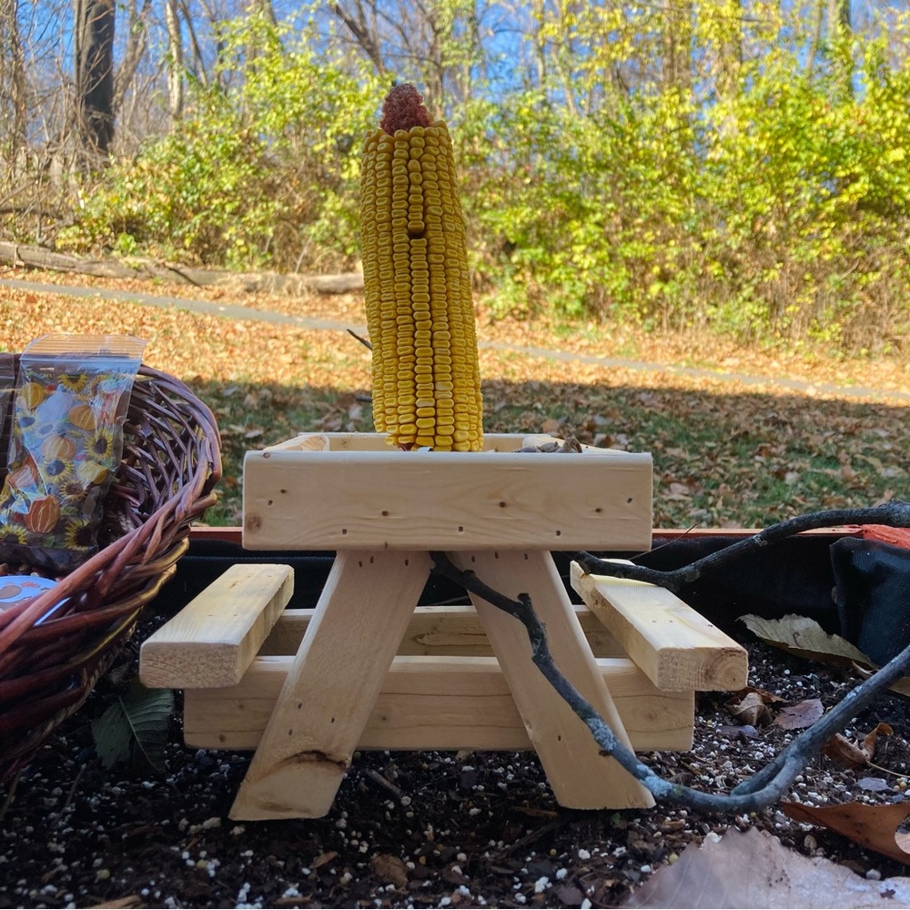 Squirrel/Wildlife Picnic Table Feeder Gift Basket - Picture 4 of 4